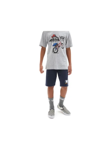 Pantaloni copii Vans albastru