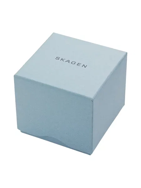 Ceas Skagen argintiu