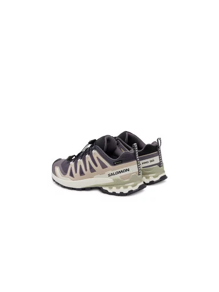 Turistiniai batai Salomon Xa Pro 3D V9 Gore-Tex violetinė