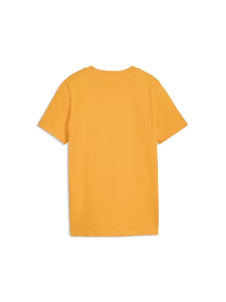 PUMA Młodzieżowa koszulka Galatasaray S.K. ftblCulture Akcesoria pomarańczowy