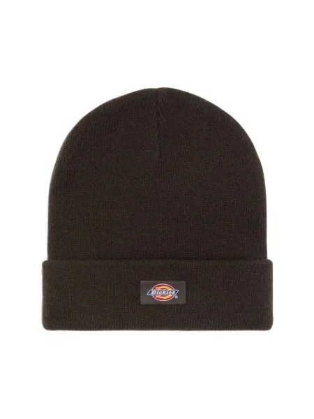 DICKIES Căciulă Gibsland închis maro