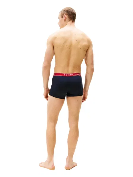Tommy Hilfiger Underwear Boksarice pegasto črna