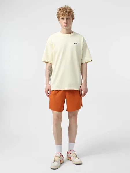Спортивные шорты The North Face