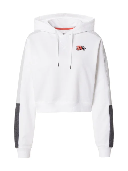 UNDER ARMOUR Sportovní mikina Terry antracitová / světle šedá bílá