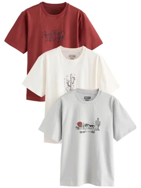 Next Tricou gri / roșu ruginiu negru