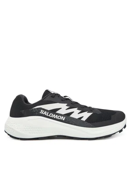 Salomon Tenisice za trčanje Alphaglide crna