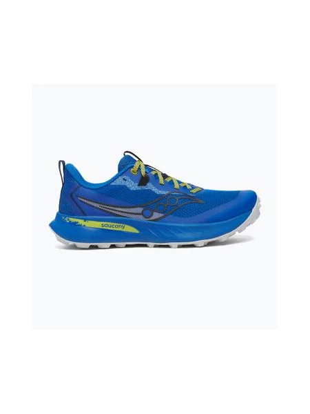 Кросівки Saucony Peregine 15 skydiver / picle
