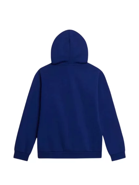 Bluza z kapturem dziecięca The North Face niebieska