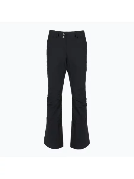 Штани гірськолижні SCOTT Ultimate Dryo 10 black чорні