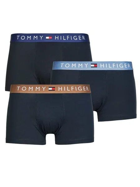 Chiloți Tommy Hilfiger albastru