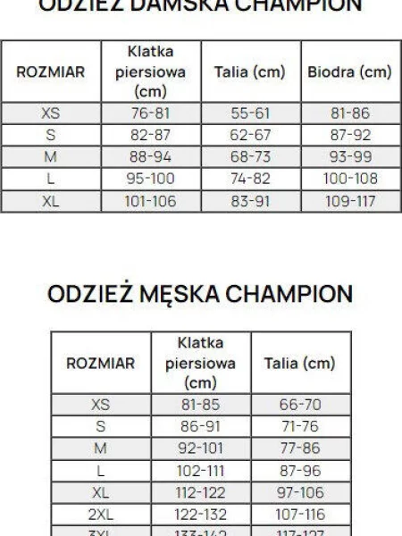 Koszulka sportowa Champion SS Tee fioletowa