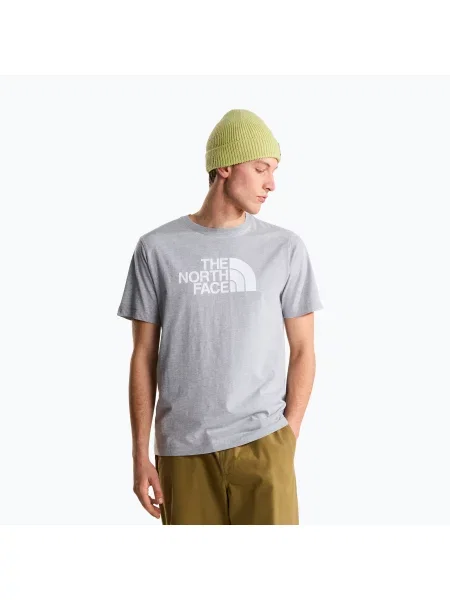 Tricou pentru bărbați The North Face Evolution Half Dome tnf pale grey heather gri