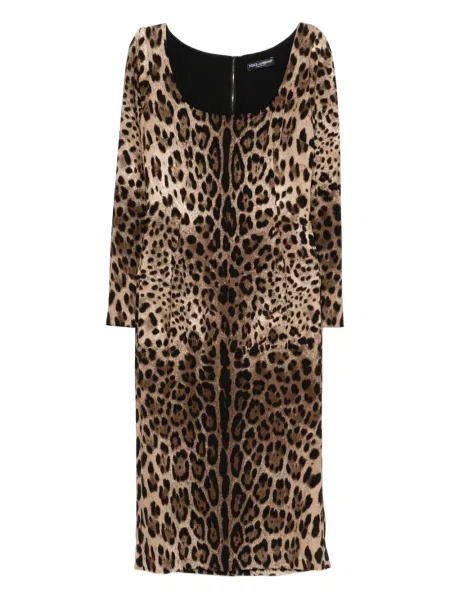 Rochie Dolce & Gabbana cu imagine cu imprimeu animal print de costum maro