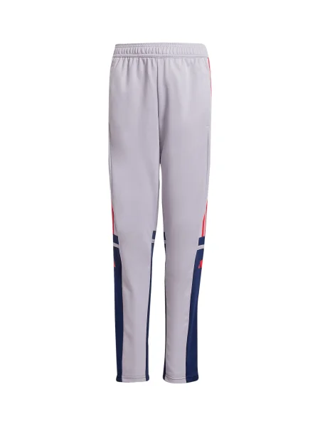 ADIDAS PERFORMANCE Pantaloni sport Squadra marin / mauve / roşu închis albastru