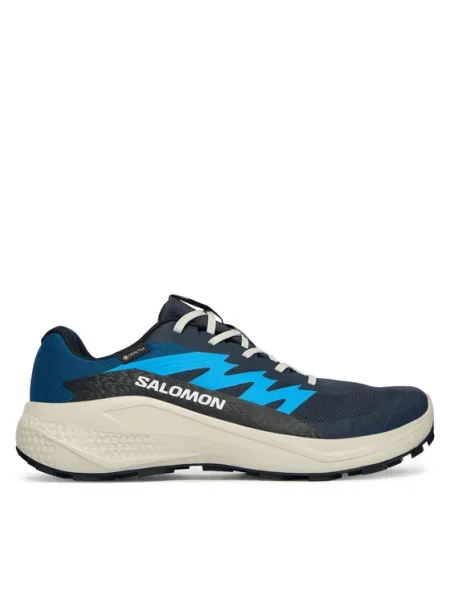 Salomon Buty do biegania Alphaglide Gtx niebieski
