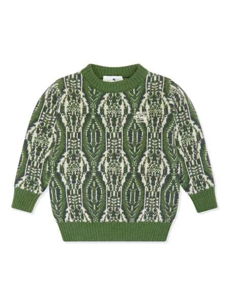 Sweter dziecięcy Etro zielony
