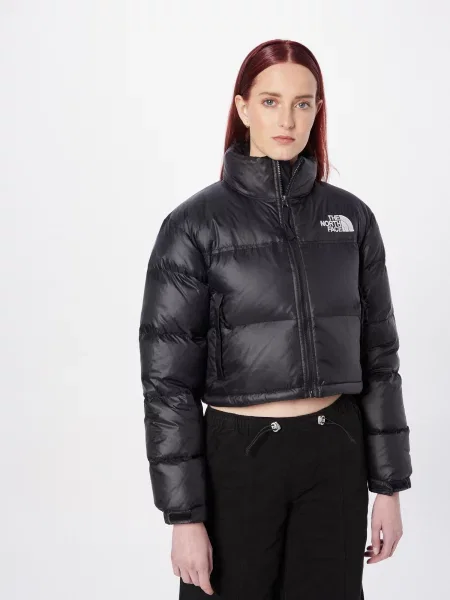THE NORTH FACE Zimska jakna NUPTSE / srebro crna
