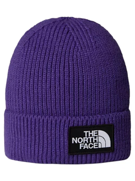 Czapka Mężczyzna THE NORTH FACE TNF LOGO BOX CUFFED BNE fioletowa
