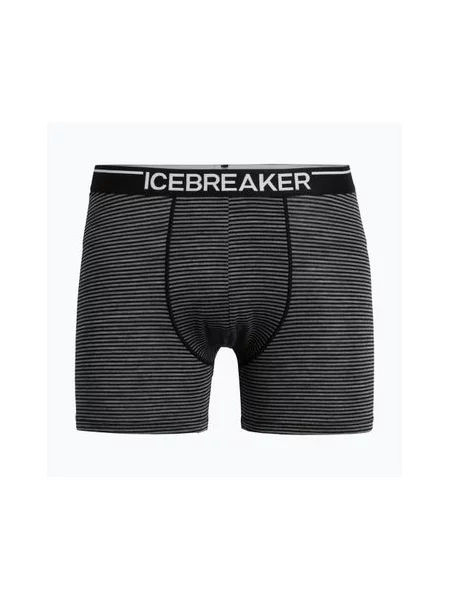 Труси Icebreaker
