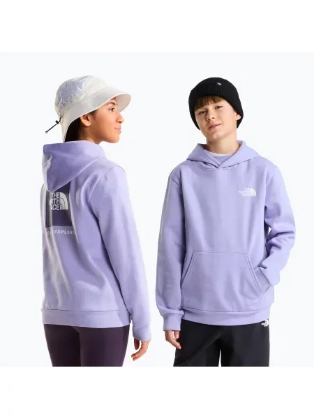 Bluză pentru copii The North Face Evolution Box NSE Pullover Hoodies pale plum