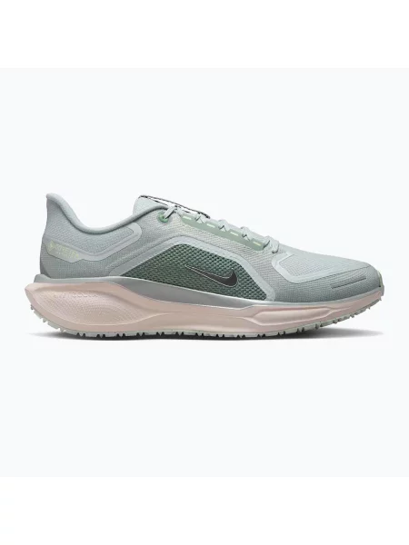 Мъжки обувки за бягане Nike Pegasus 41 GTX light pumice/pure platinum/silt red/metal silver червено