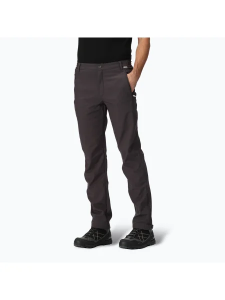 Мъжки софтшел панталони REGATTA Geo Softshell II ash сиво