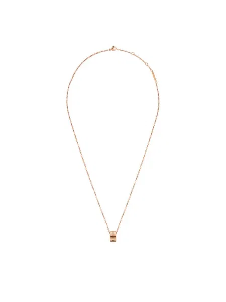Colier Daniel Wellington roz