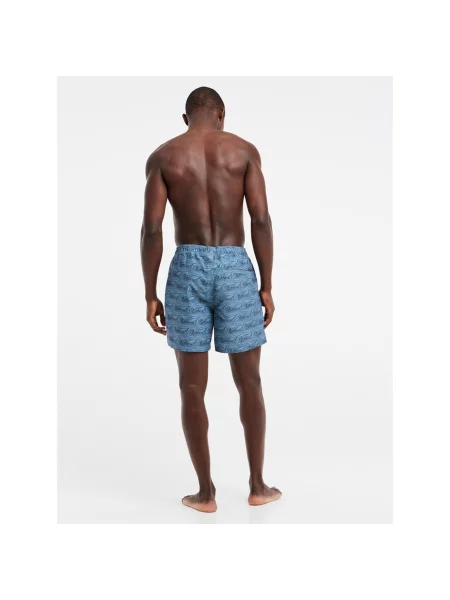 Spodenki Protest PRTTERTON beachshort niebieskie