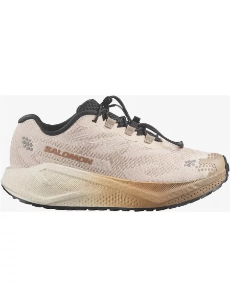Buty do biegania Salomon Aero Blaze 4 Grvl beżowy 36 czarny