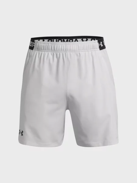 Шорты Under Armour серые