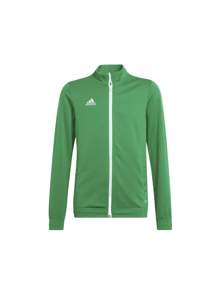 Vesta Adidas zelena