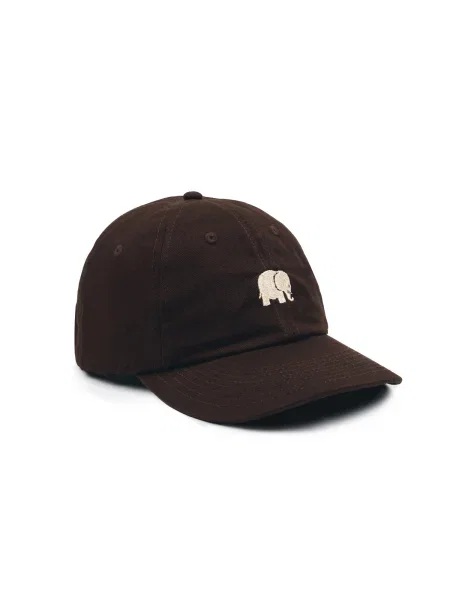 Trendsplant Kšiltovka LOGO DAD ORGANIC hnědá