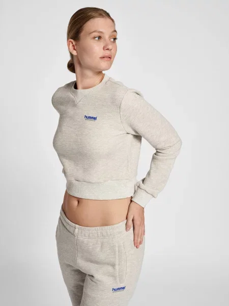 Krótka bluza Hummel LGC Shai szara