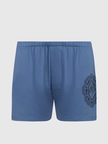 Боксеры Stefano Ricci с принтом голубые