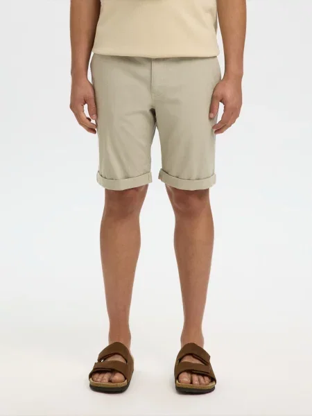 SELECTED Pantaloni eleganți SLHLuton kaki / pastel verde