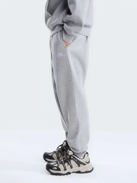 Повседневные брюки The North Face серые