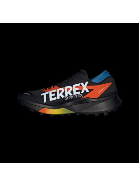 Buty do biegów przełajowych Terrex Agravic GTX 2 czarne
