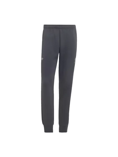 ADIDAS PERFORMANCE Pantaloni sport LFC Teamgeist închis gri