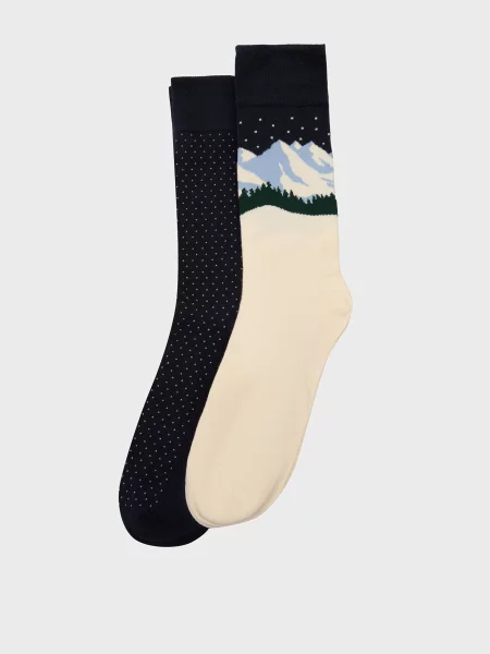 Шкарпетки Gant сині