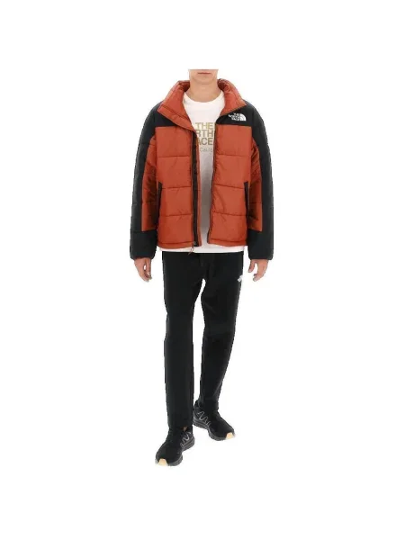 Bunda The North Face izolované hnedá