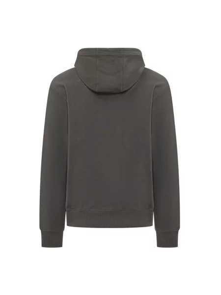 Bluza z kapturem The North Face szara