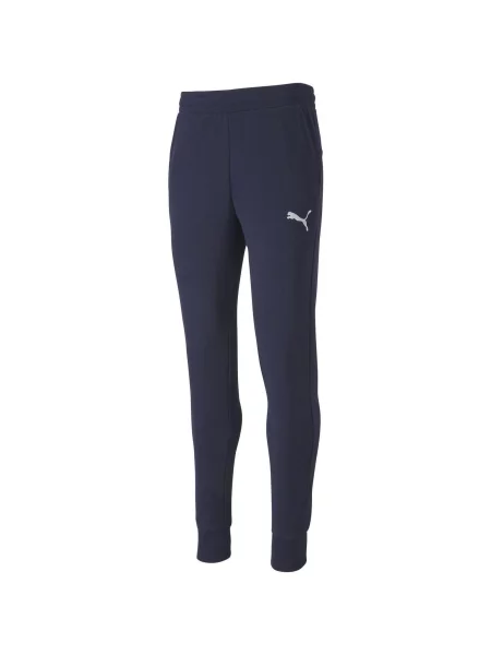 Spodnie Puma teamGOAL 23 Mężczyźni niebieskie