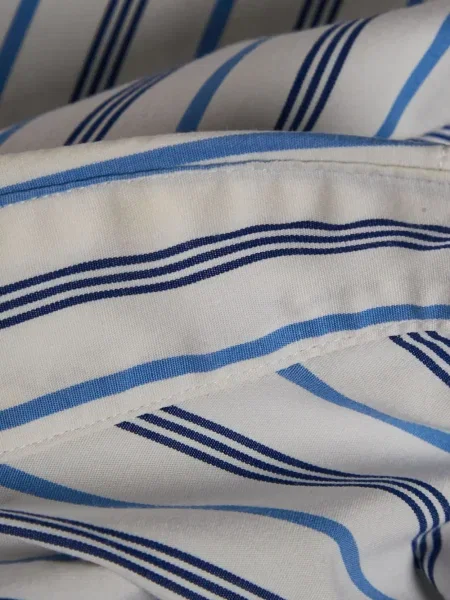 Cămașă Polo Ralph Lauren cu dungi albastru