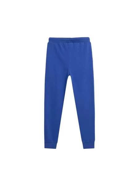 Pantaloni copii 4f albastru