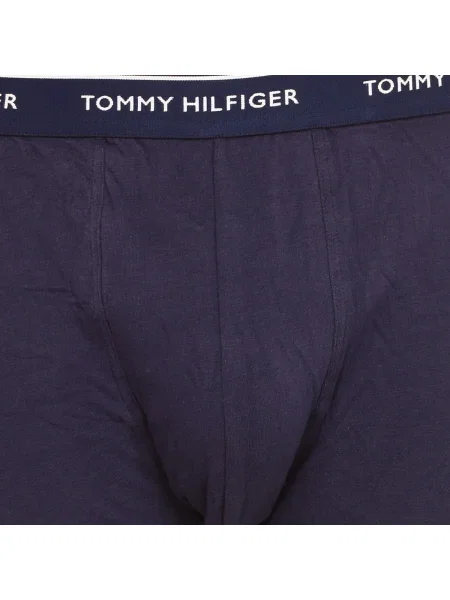Chiloți Tommy Hilfiger albastru