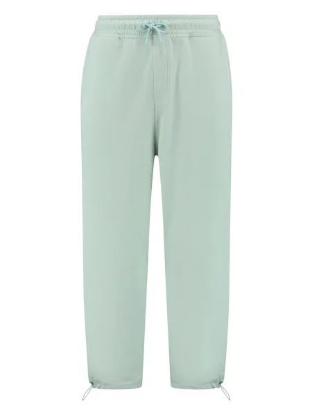 Shiwi Pantaloni pastel verde