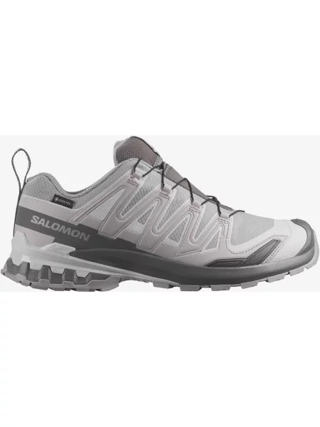 Buty do biegania Salomon XA PRO 3D v9 GORE-TEX jasnoszary ciemnoszary 40 biały