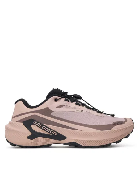 Salomon Маратонки за бягане Genesis 2 GORE-TEX бежов