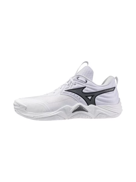 Pantofi Mizuno negru