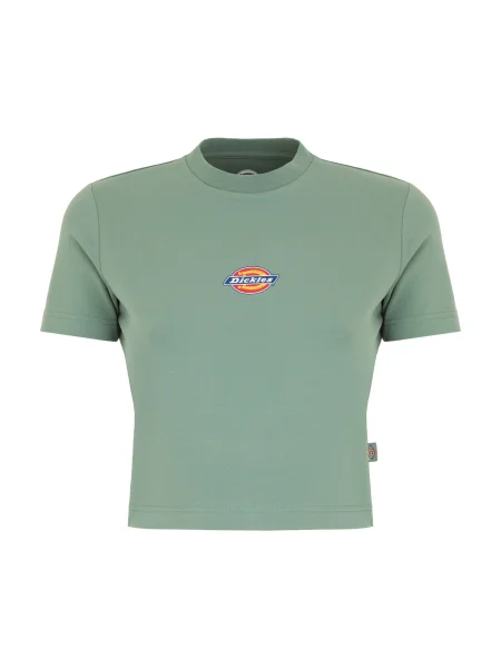 DICKIES Tricou Maple Valley galben / verde roșu
